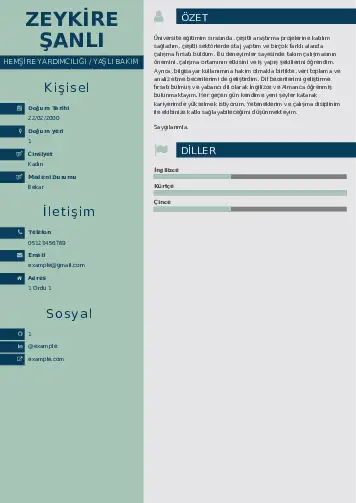 Hasta ve Yaşlı Bakım Elemanı Cv Örnekleri cv indir